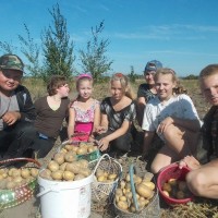 Усе разам бульбу мы капалі