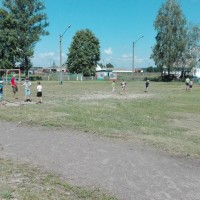 Конкурсы, эстафеты, игры.