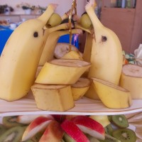 Семинар по питанию