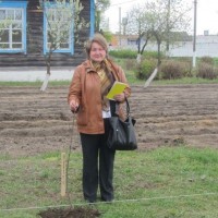 Семинар по питанию