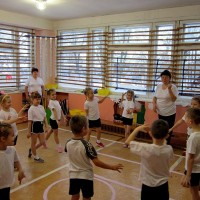 РМО руководителей физического воспитания