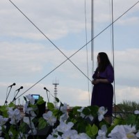 Цветы Великой Победы