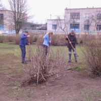 Неделя леса. 02-09.04.2016