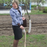 Семинар по питанию