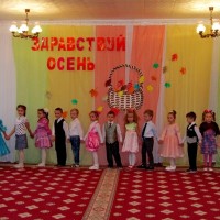 Осень постучалась к нам золотым дождем