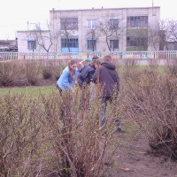 Неделя леса. 02-09.04.2016