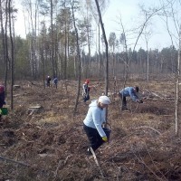 Неделя леса. 02-09.04.2016