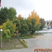 Петриков красава -2350