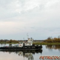 Петриков - любимый город -1852