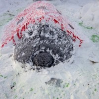Выставка снежных фигур