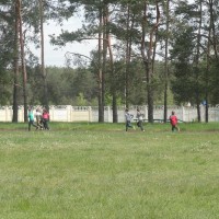 Веселые старты