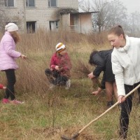 Труд в радость