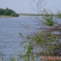 Петриков - любимый город -1867