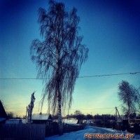 Петриков - любимый город -1898