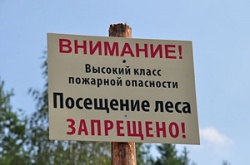 Запрет на посещение лесов