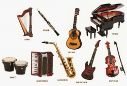 Виды музыкальных инструментов