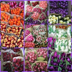 Порадуйте своих родных и близких цветами с доставкой в Петрикове