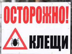 В Гомельском районе от покусов клещей в этом году пострадало 29 человек