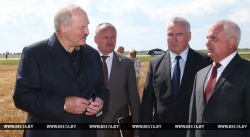 Александр Лукашенко во время посещения КУП "Минская овощная фабрика"