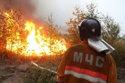 На юге и востоке Беларуси возобновились пожары