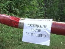 Распоряжением райисполкома с 4 августа установлен запрет посещения лесов и торфяников Петриковского района
