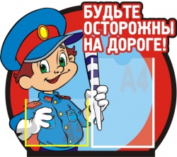 Дорожная безопасность в Петриковском районе