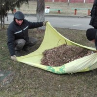 Наведение порядка на территории учреждения -3842
