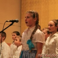 1 сакавіка 2014 Чалюшчавічы конкурс патрыятычнай песні -332