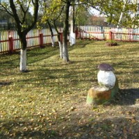 Школа Конковичи -3448