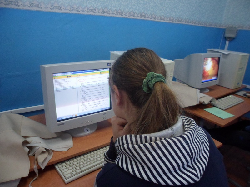 Вучні 10-11 класаў займаліся падрыхтоўкай да выніковай аттэстацыі