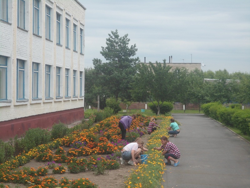 Валанцёры ўстановы наводзілі парадак на кветніках