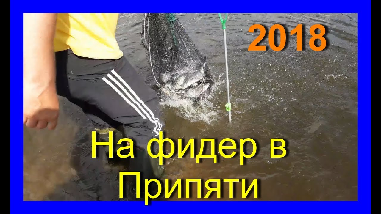 Рыбалка на фидер в Припяти Житковичского района.