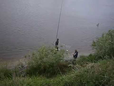 Рыбалка на язя на Припяти на мах в проводку агроусадьба Богомазов двор
