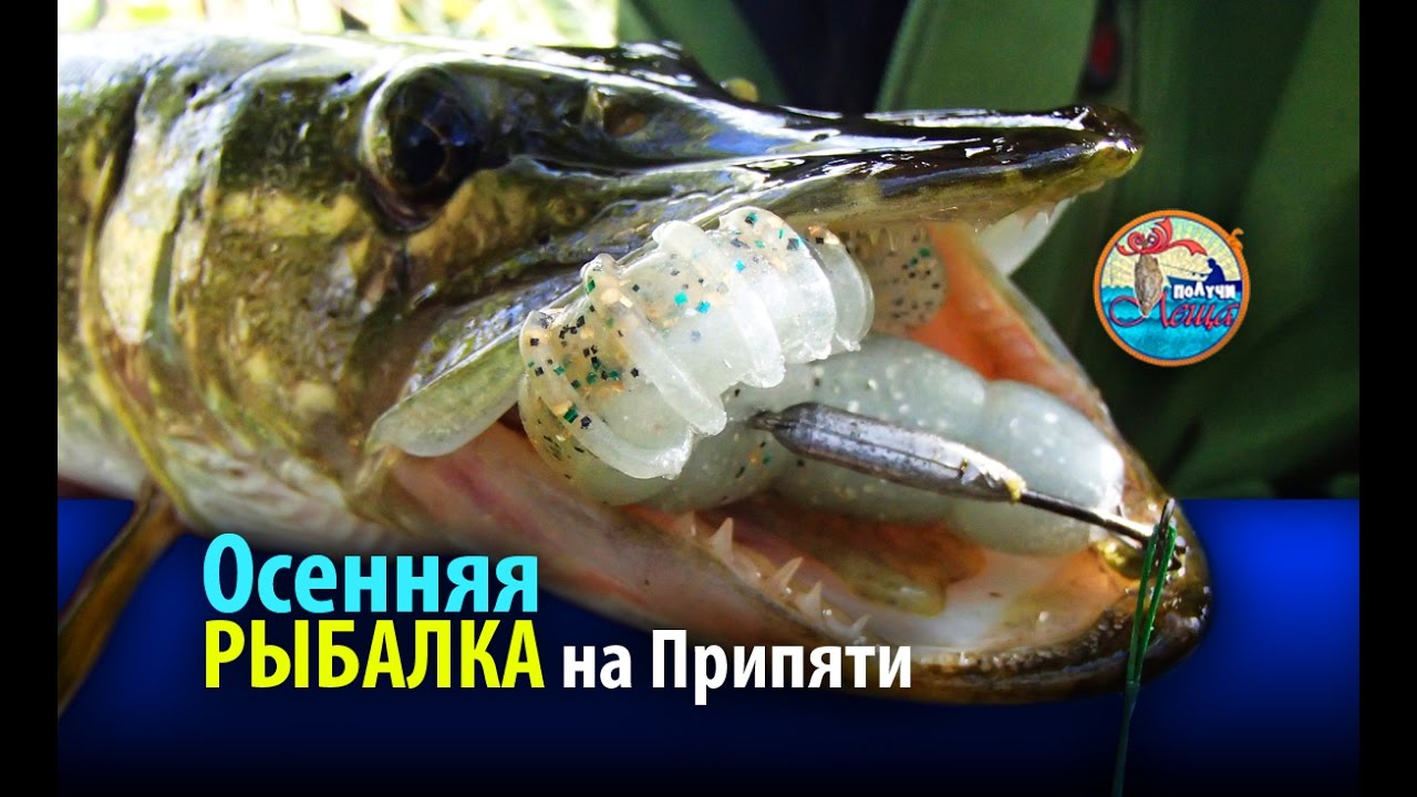 Рыбалка на реке Припять с Юлей Девончик. Осень 2016