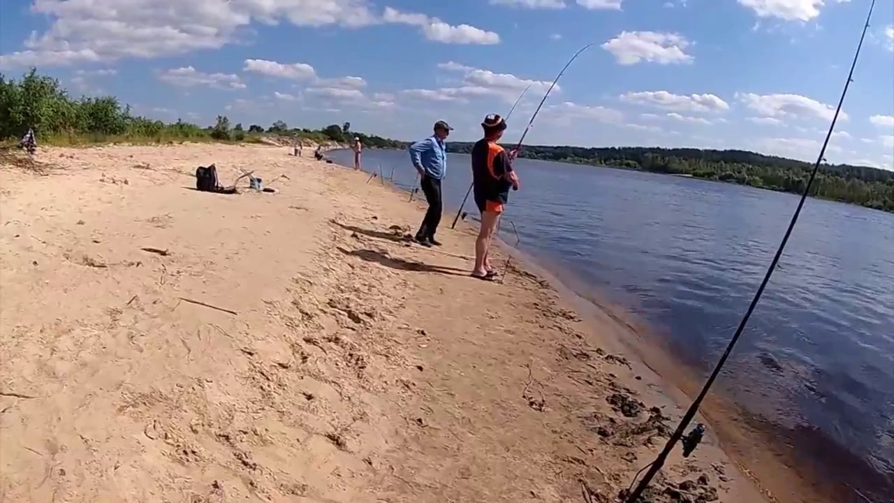 Рыбалка Припять фидер июнь 2017