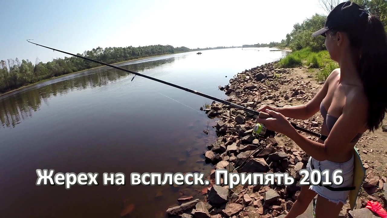 Жерех на всплеск. р. Припять 2016 Беларусь Asp GoPro