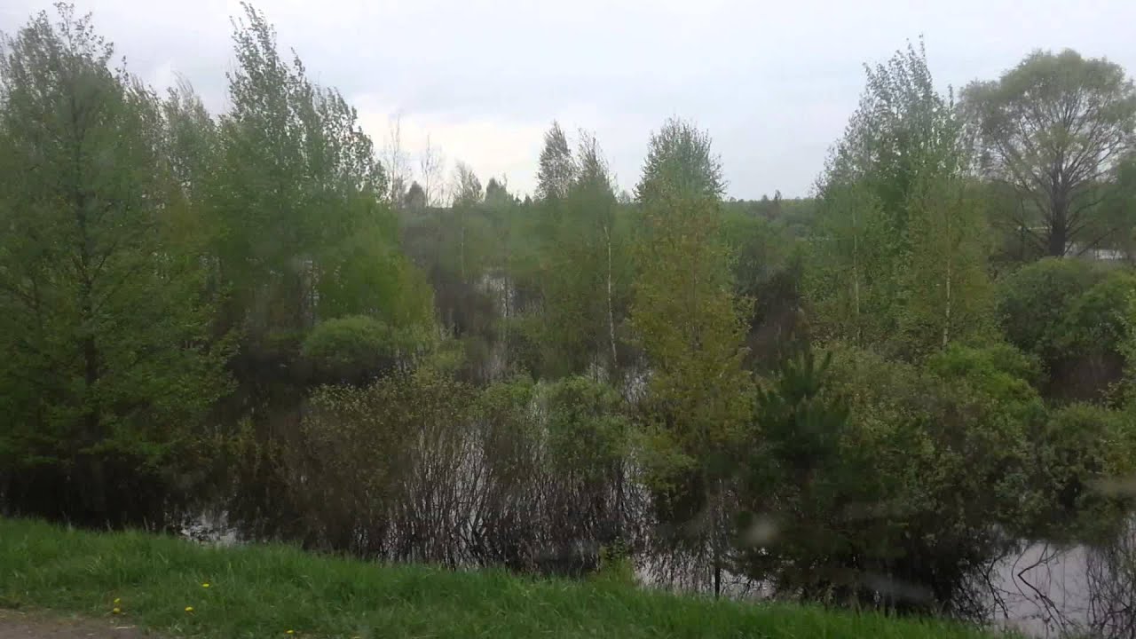 Паводок , Житковичский район , Гомельская обл, Беларусь