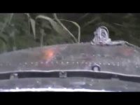 Рыбалка в устье реки Припять