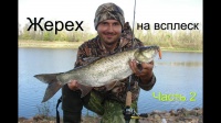 Ловля жереха на всплеск р. Припять 2015 Беларусь Часть 2. Fishing for asp on splash part 2. GoPro