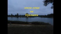 фидерная рыбалка на Припяти