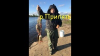 Окунь на старике Припяти