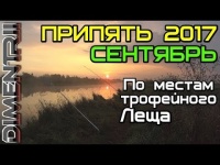 По местам трофейного леща. Припять река. Сентябрь 2017 [DIMENTRII]