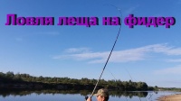Рыбалочка на леща. Река Припять, 2017