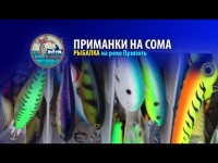 Уловистые приманки на сома. Рыбалка на реке Припять